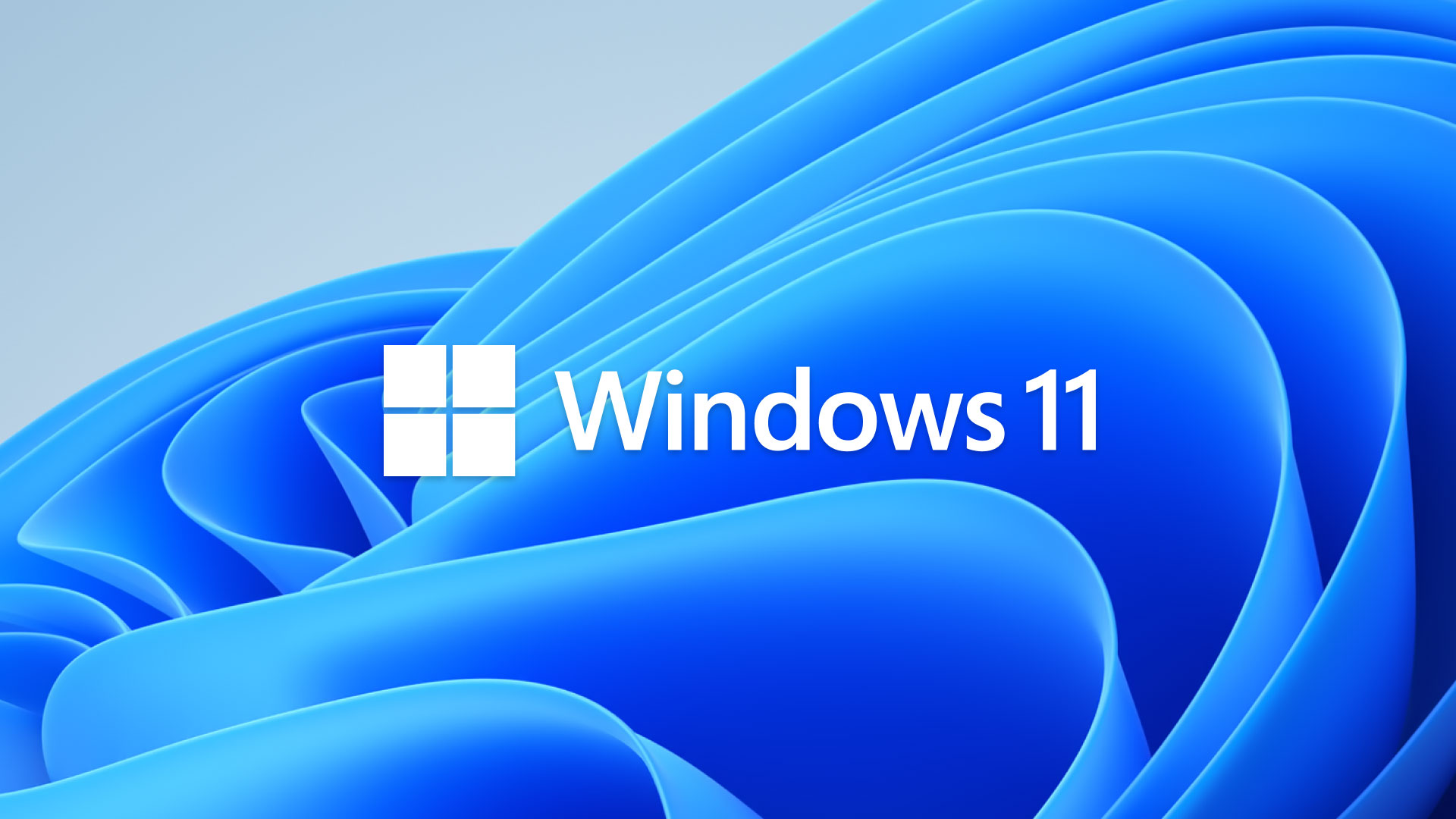 Windows 11 test